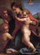 Andrea del Sarto The Virgin and Child with St. John childhood, as well as two angels oil painting artist